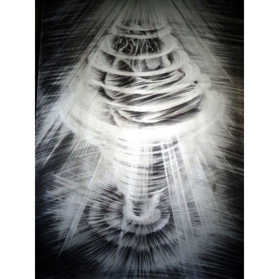 Η ροή της δίνης Τεχνική με μολύβι. 29 Χ 41